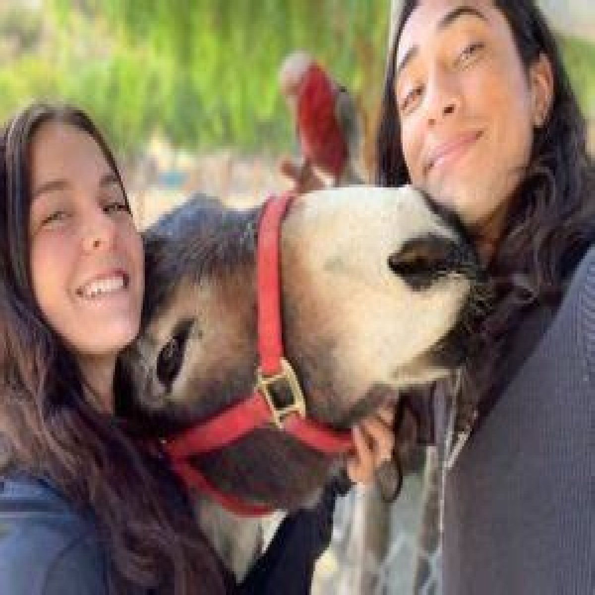 5 Interesting Facts About Cesar Millan’s Son Calvin Millan, Any Girlfriend?