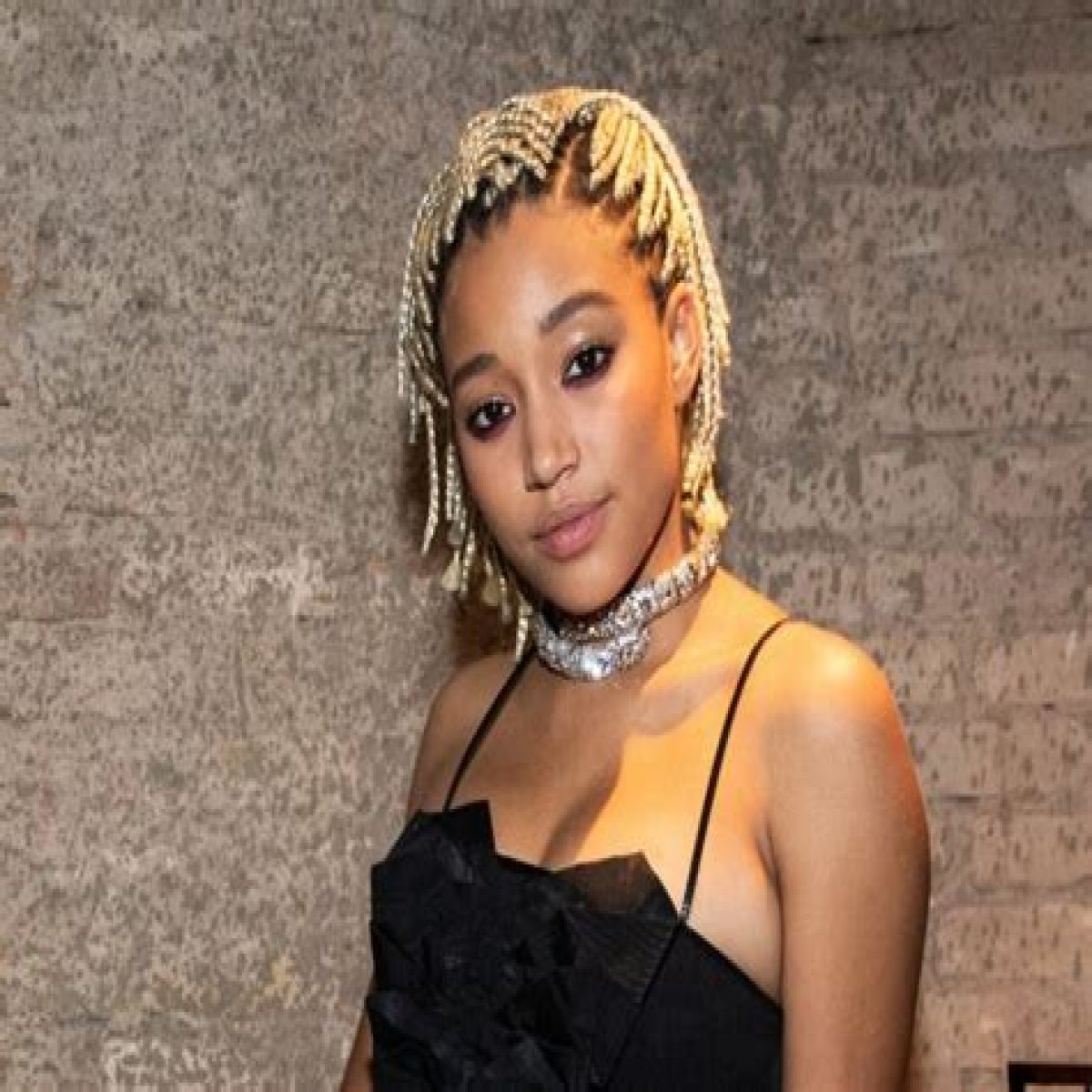 Amandla Stenberg Biography: Movies, Age, Parents, Net Worth, Partner, Ethnic, Mother, TV Shows, Siblings, Wiki, Instagram