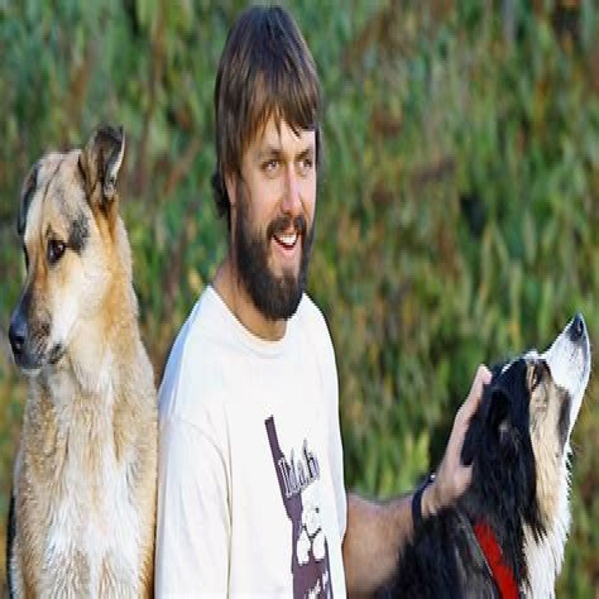 Are Jack Plummer and Jake Plummer related? Who are Jack Plummer and Jake Plummer? Stay updated with the latest news about them. - SarkariResult