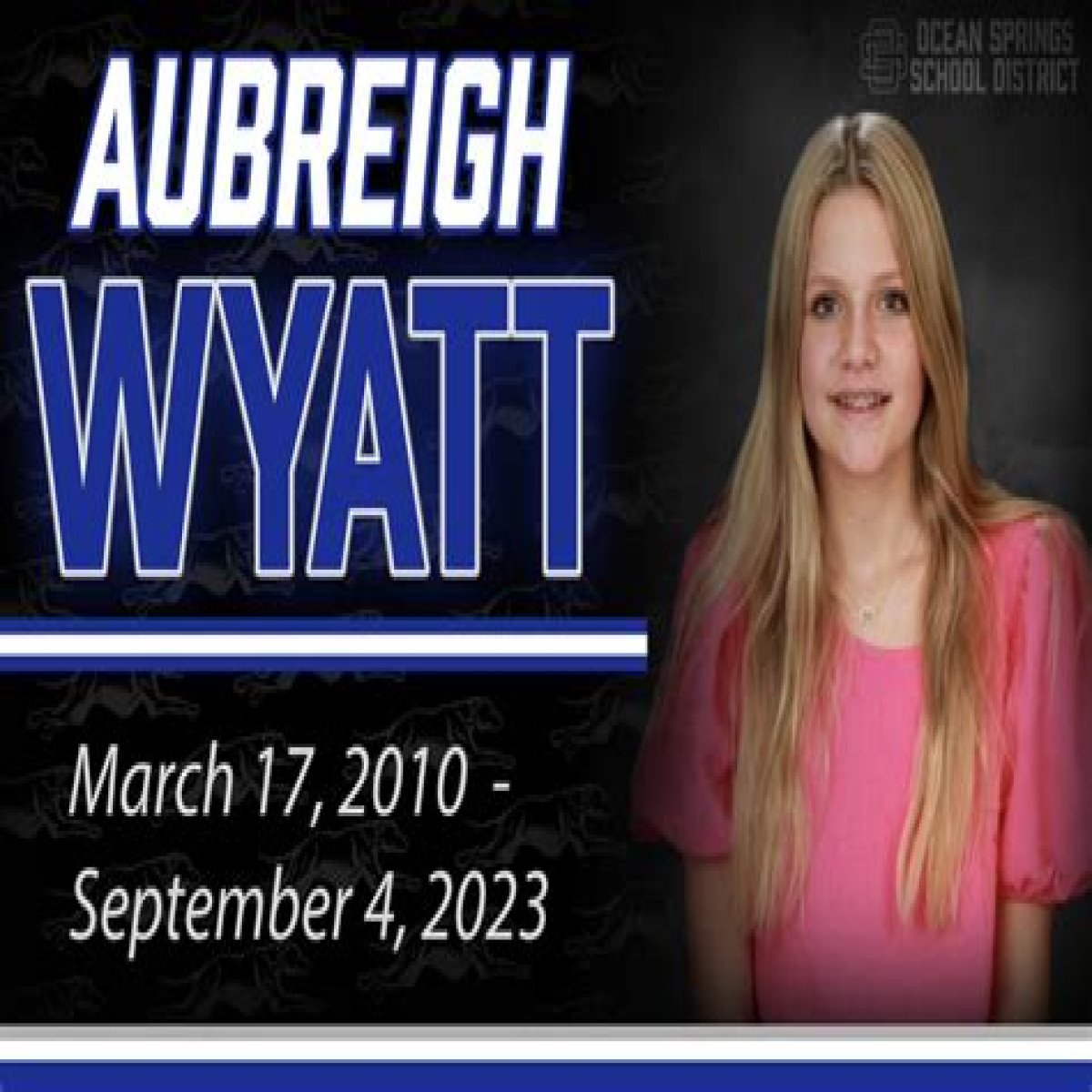 Aubreigh Wyatt's Bully: Unraveling The Story Behind The Name