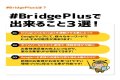 BridgePlus Manual
