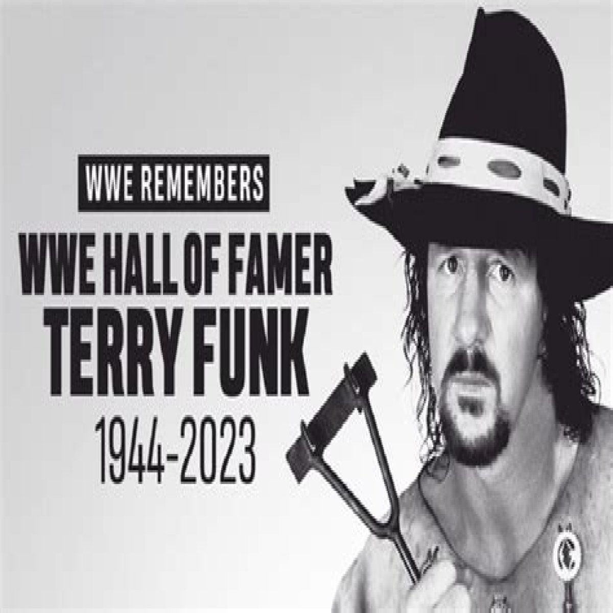 How did Terry Funk die? cause of death explored as WWE Hall of Famer passed away