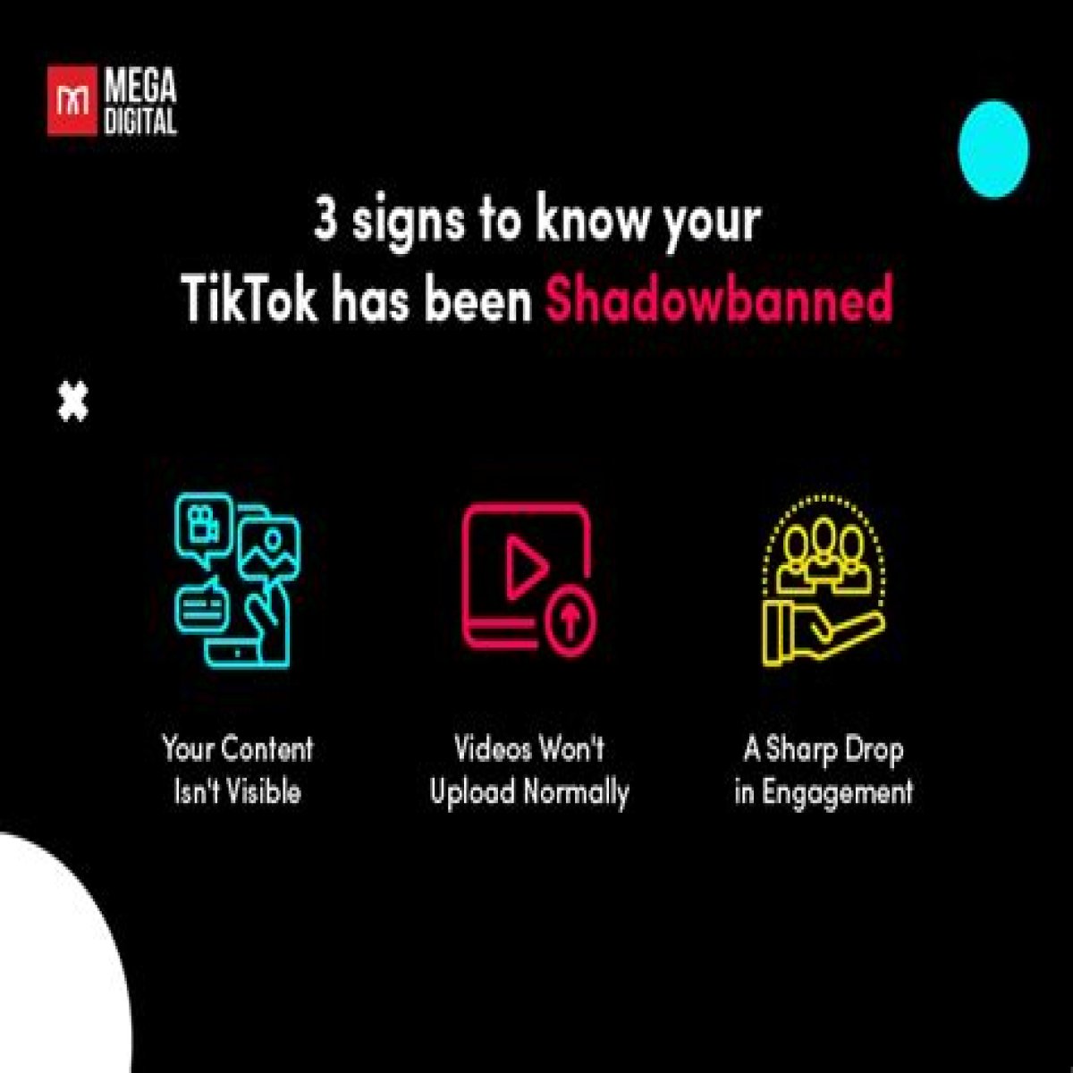 How Do You Know If Your Shadowbanned On Tiktok