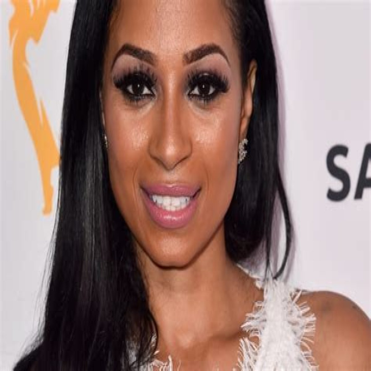 Karlie Redd Height, Weight, Net Worth, Age, Birthday, Wikipedia, Who, Nationality, Biography