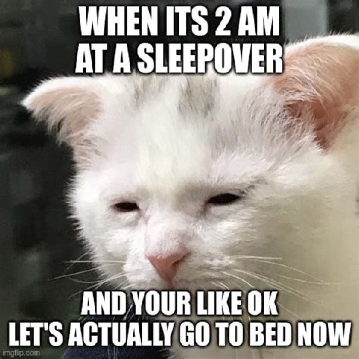 ___ really have to go to bed now?: 2 wds.