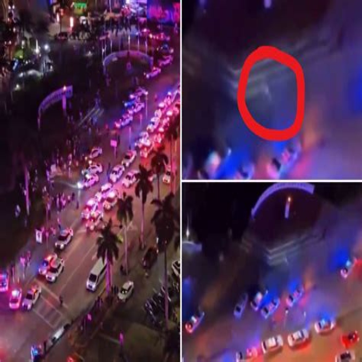 Shocking Miami Mall Creature Aliens Video Goes Viral: Uncovering the Truth,Video showing ‘alien’ at Miami mall sparks claims of invasion