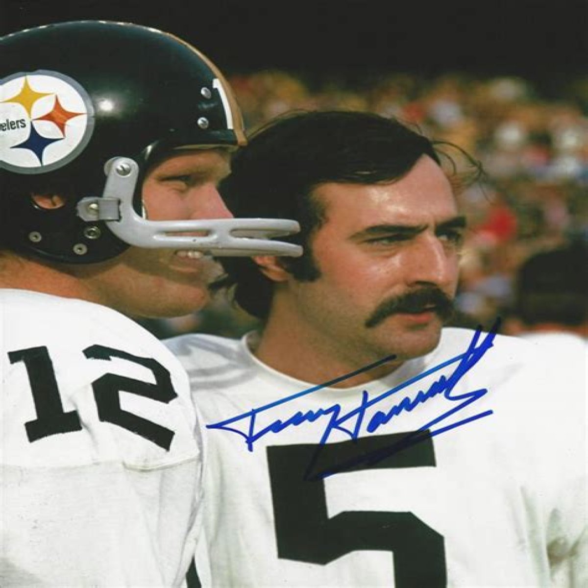 Terry Hanratty Net Worth