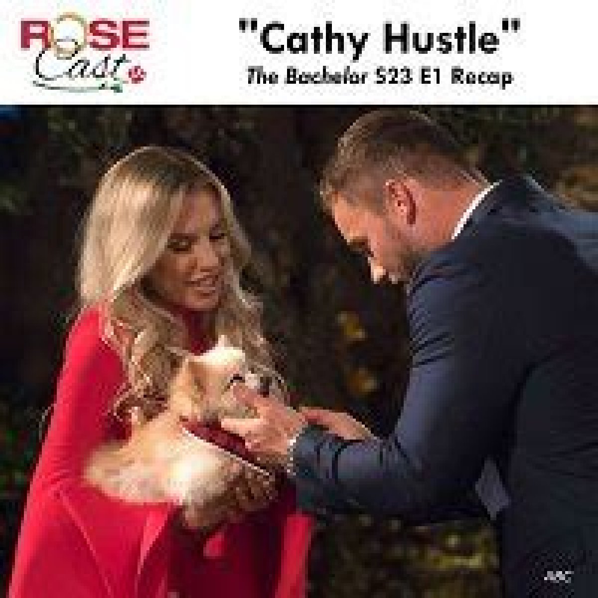   The Bachelor (S23) episode 1 REVIEW: Virgins, sloths and roses!    Tue 8 January 2019 11:09    Updated Tue 13 June 2023 13:51    Pauline Mikhail    