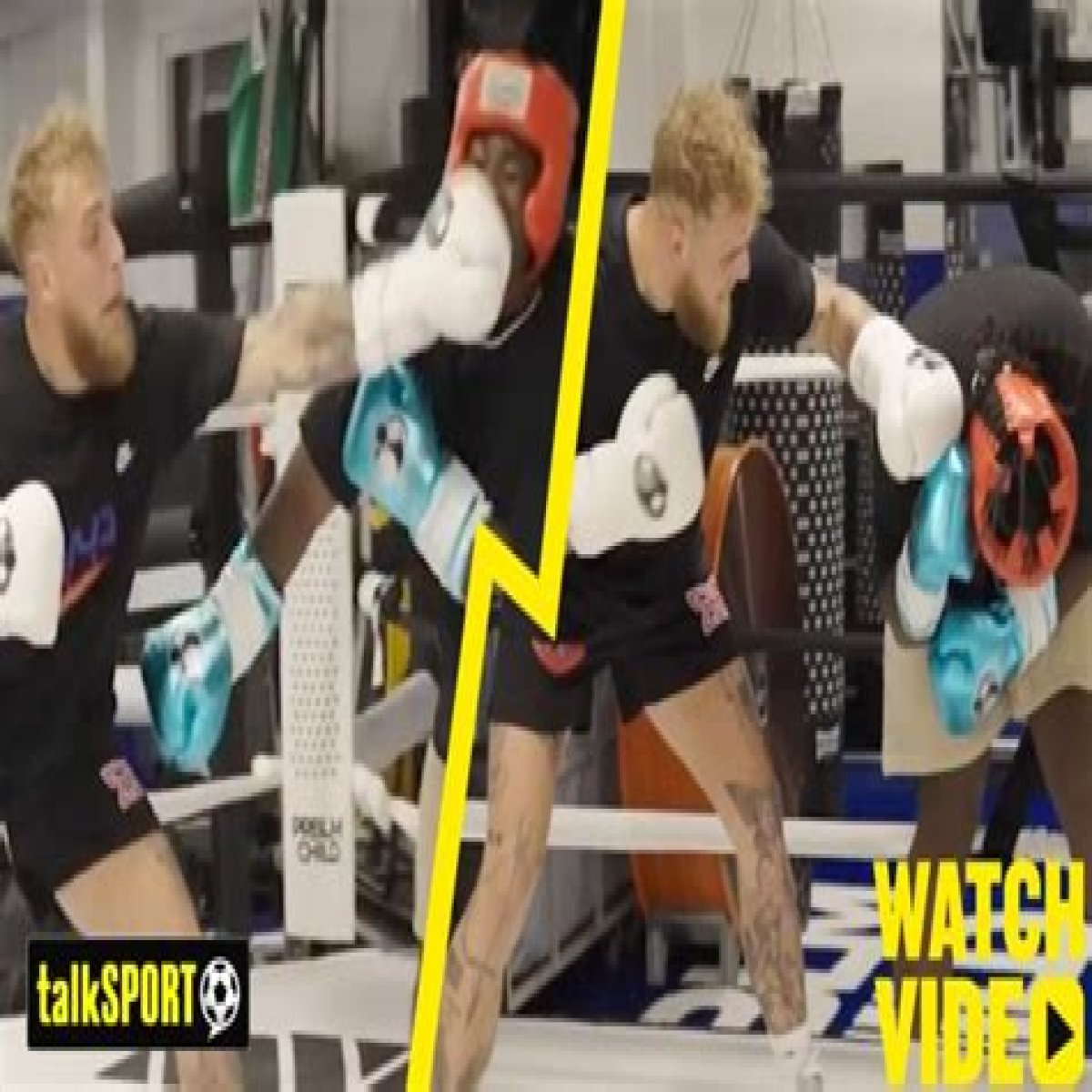 'This kid is out of his mind' - Jake Paul punches a YouTuber so hard in the stomach that he s*** himself