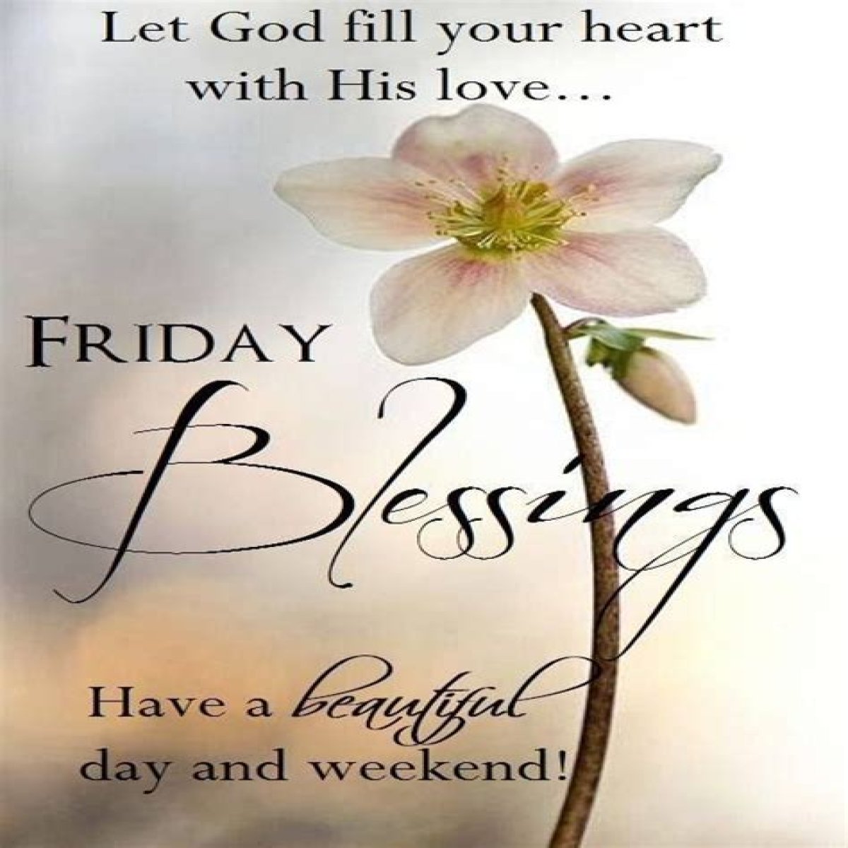 Uncover The Power Of "Have A Blessed Friday And Weekend Quotes"