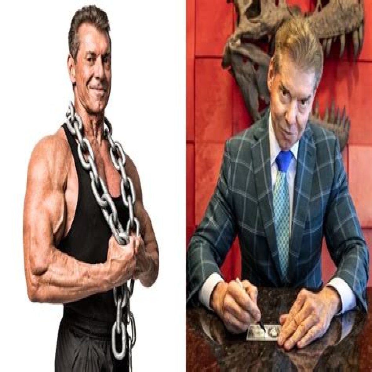 Vince McMahon Net Worth  - Pulptastic
