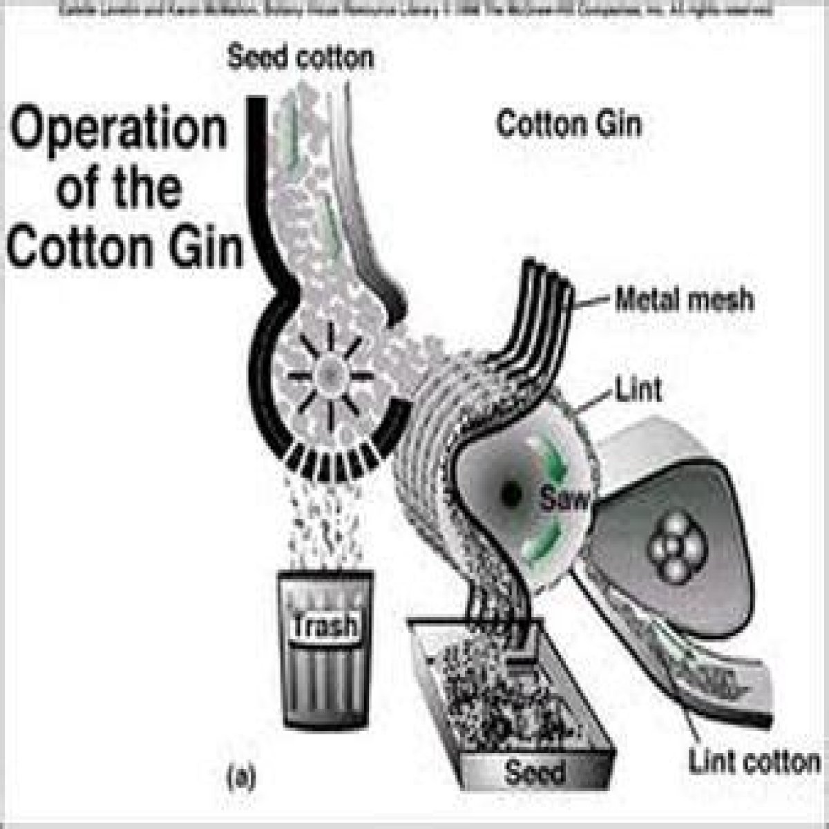 What were the disadvantages of the cotton gin?