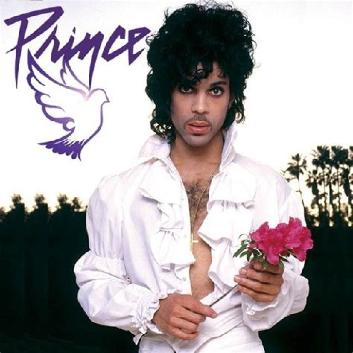 When Doves ___ (1984 Prince hit)